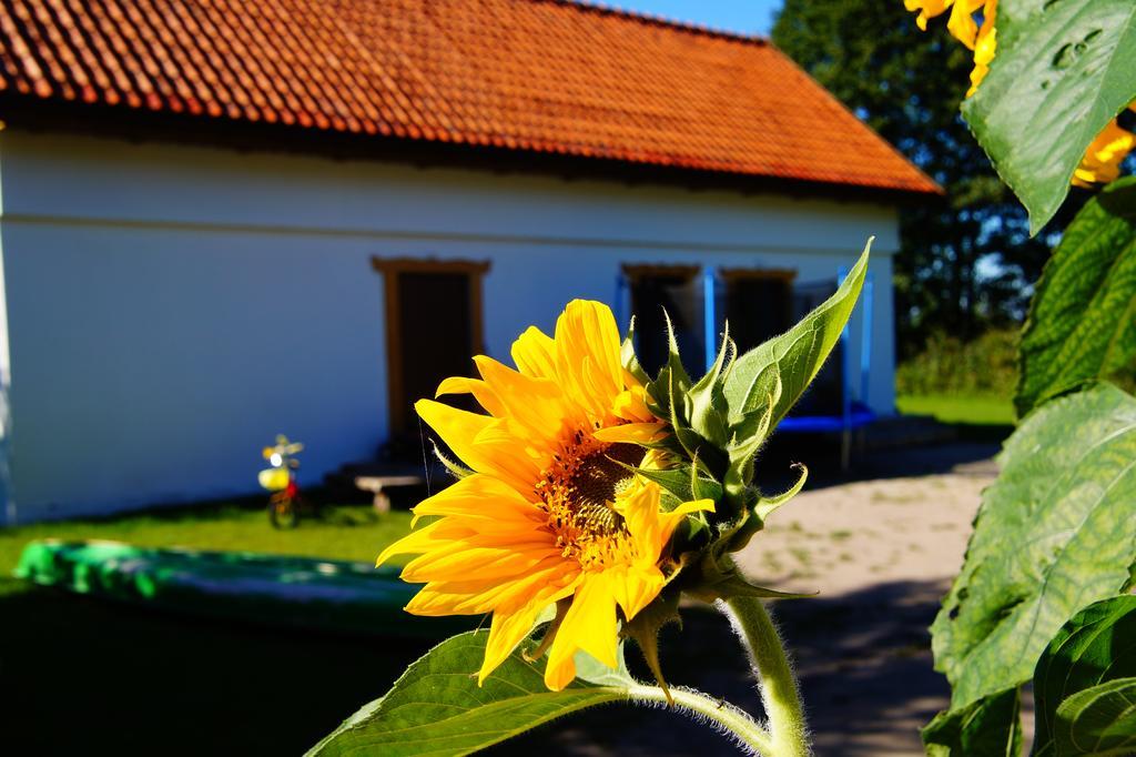 Villa Rybaczowka Luknajno Mikołajki Exterior foto